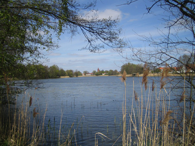 Naturlehrpfad "Grosser Klietzer See" - Blick über den See zur Kirche