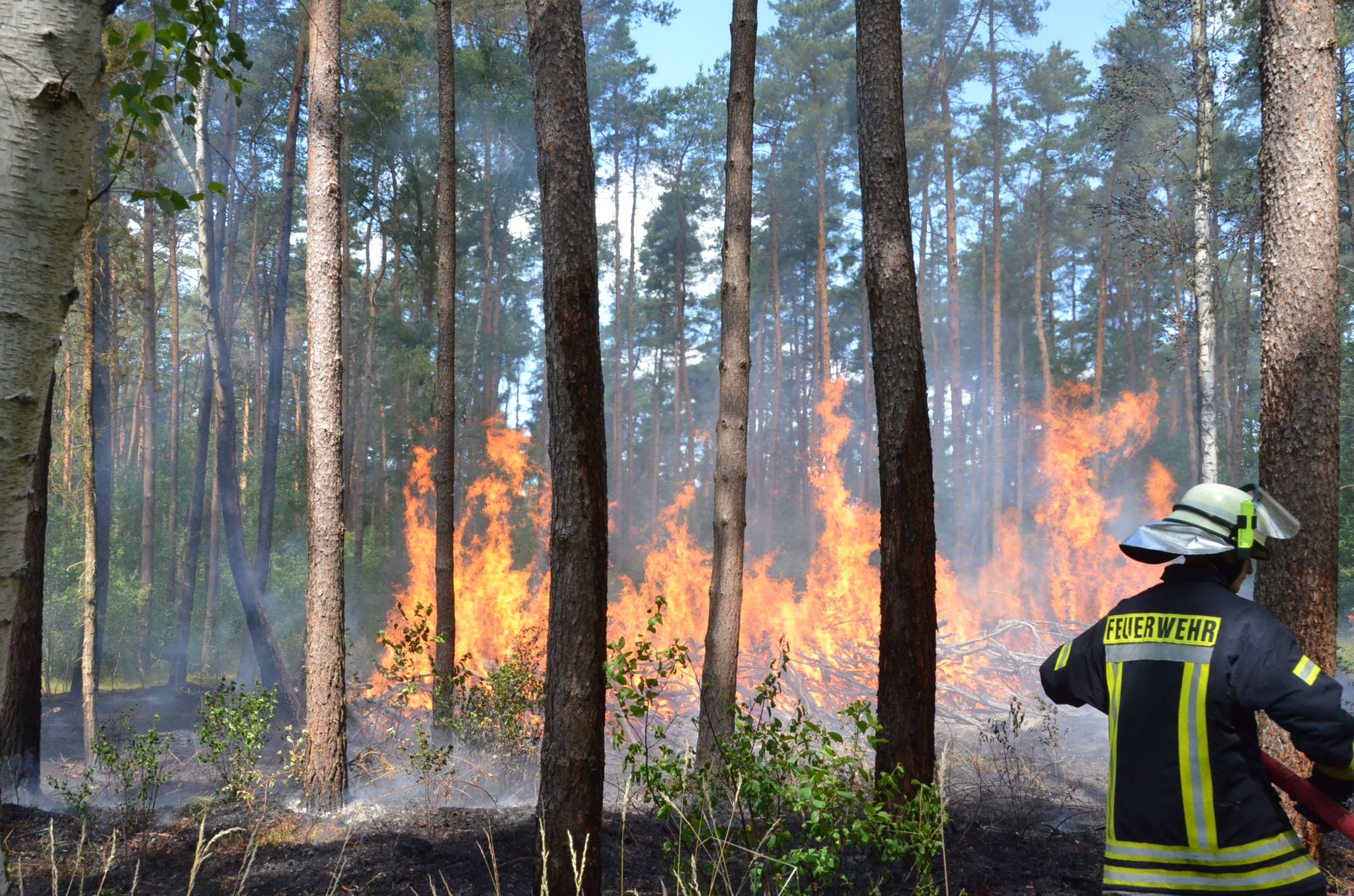 210621 Feuerwer im Wald